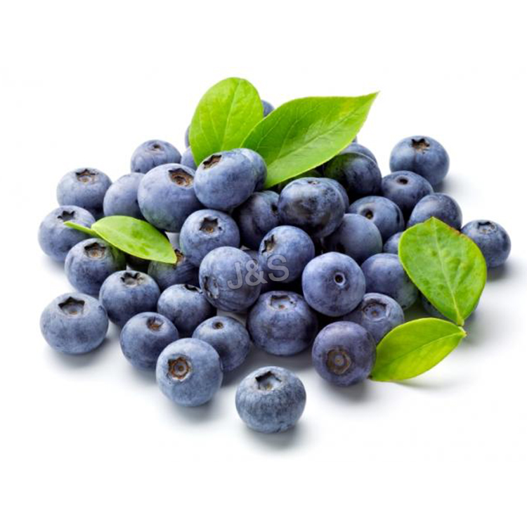 Factory Supplier for
 Blueberry extract Factory for Turkmenistan