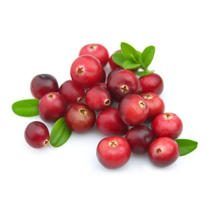 New Arrival China
 Cranberry Extract Factory from Ethiopia