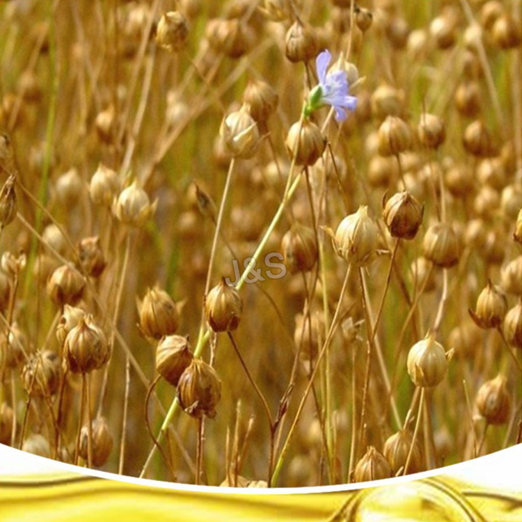 Factory Price For Flaxseed Extract Factory from Islamabad