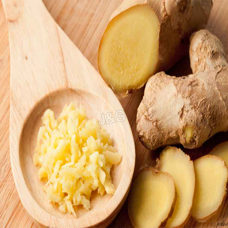 Cheapest Price 
 Ginger Root Extract Factory in United States