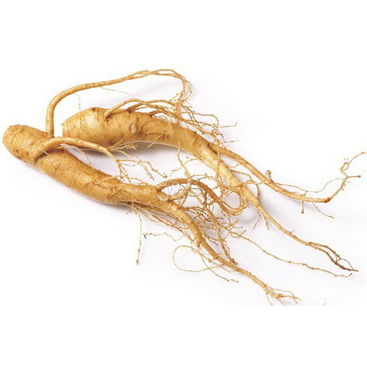 China Manufacturer for
 Ginseng extract in Nicaragua