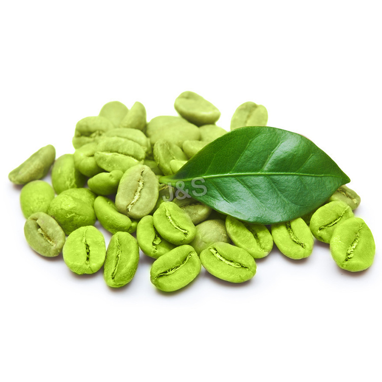 China New Product 
 Green Coffee Bean Extract Factory from Bhutan
