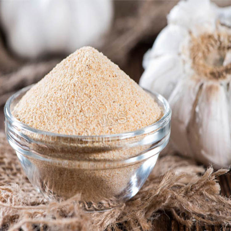 Good Quality
 Garlic Extract Powder Supply to Czech Republic