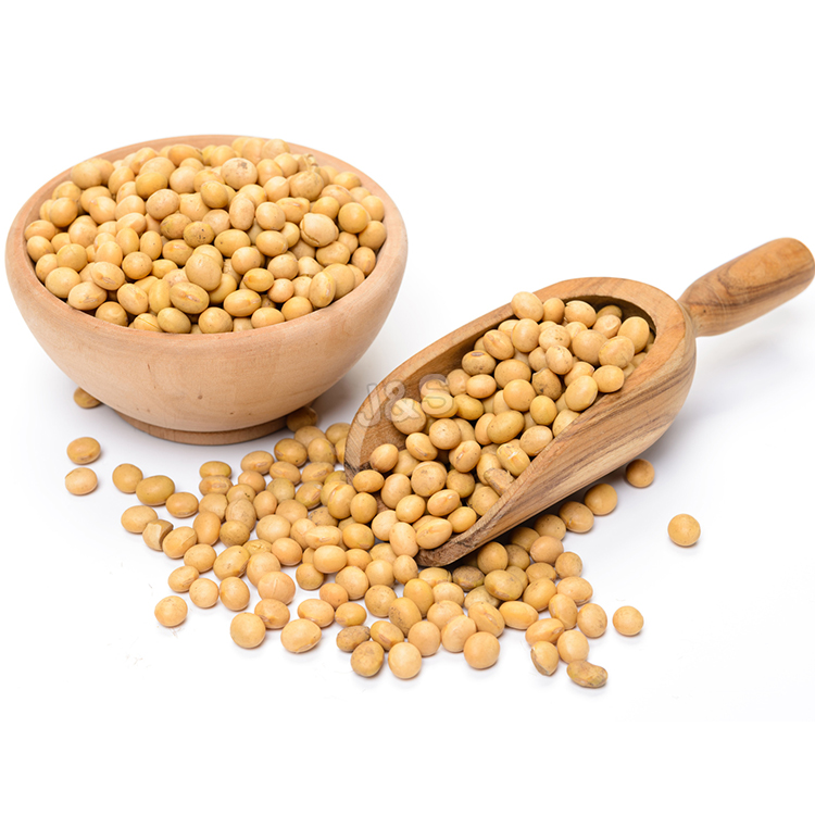2016 Super Lowest Price
 Soybean extract Factory from Sacramento