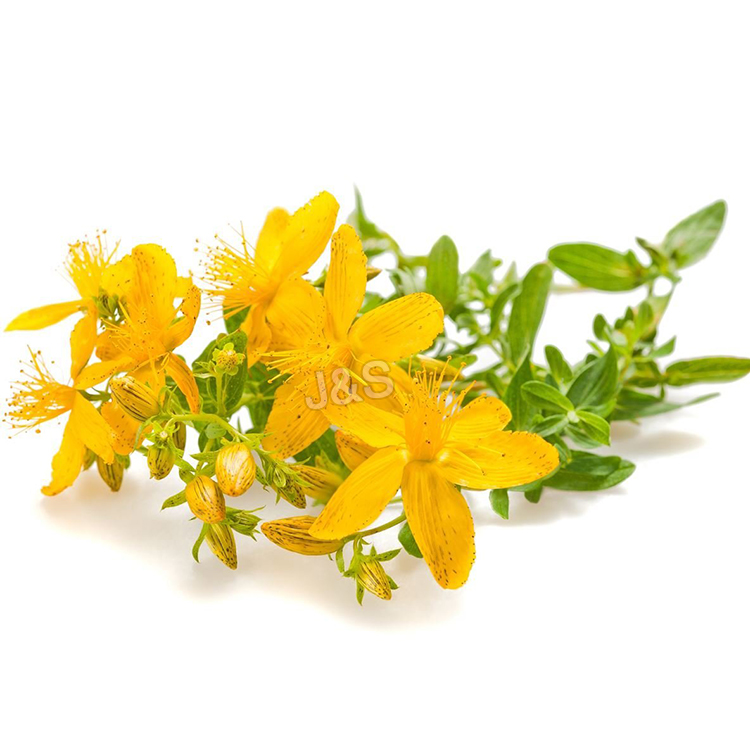 China Wholesale for
 St John’s wort extract Factory in Paris