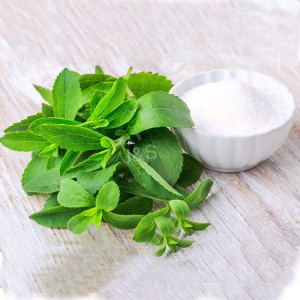 Fábrica de extracto de stevia de alto rendimiento en Pakistán